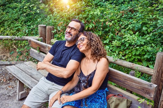 Middle age couple smiling happy looking at the sky. Sitting on the bench with chihuahua dog at park