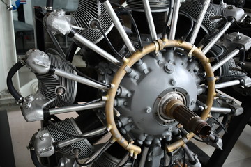 Rotary type aircraft engine.