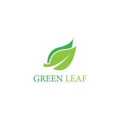 leaf vector logo  icon