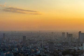 Fototapeta premium 東京都港区六本木の高層ビルの展望台から見た夕方の東京の都市景観