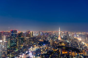 Fototapeta na wymiar 東京都港区六本木の高層ビルの展望台から見た夜の東京の都市景観