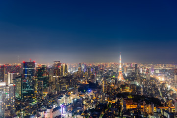 東京都港区六本木の高層ビルの展望台から見た夜の東京の都市景観