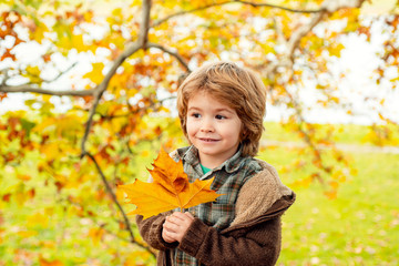 Autumn child portrait. Cute happy kid catching the fallen leaves, playing in the autumn park.