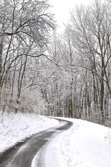 Obraz premium Snow storm along a narrow path in the wilderness