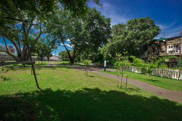 The natural background of green rice paddies and large trees surrounded by cool breezes, seen in rural tourist attractions.