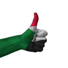 Hand making thumbs up sign, sudan painted with flag as symbol of thumbs up, like, okay, positive  -...
