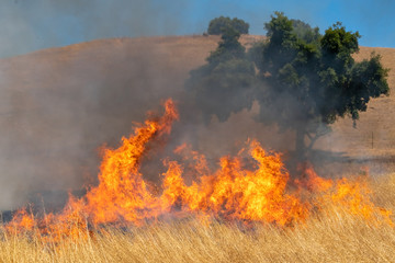 Wildfire in California
