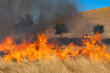 Wildfire in California