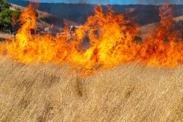 Wildfire in California
