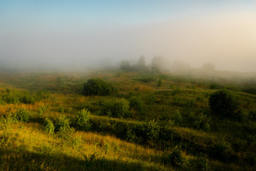 Fototapeta na wymiar morning fog in the forest