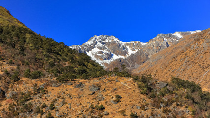 View of a valley with  a narrow path leading up to the snow clad peaks in the distant at North Sikkim in India