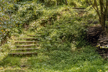 Obraz premium Wooden stairs up side of hill on mountainside