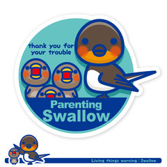 いきもの注意報：ツバメ子育て中サイン（英語）