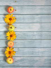 yellow daisies and apples on the background of old turquoise boards for list, menu, text or schedule, copy space