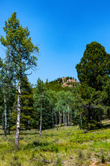 Aspen, Meadow and Rock Formation in Staunton State Park