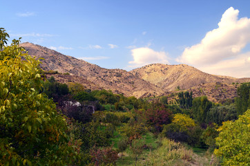Armenia Selim Pass