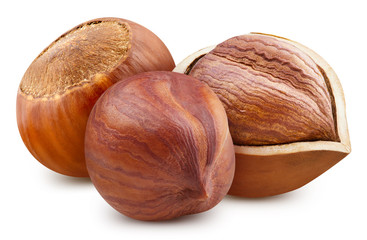 Hazelnut Clipping Path. Ripe whole hazelnut and half isolated on white background with clipping path. Hazelnut fruit image stack full depth of field macro shot