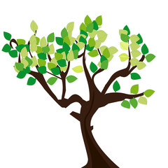 Simple tree illustration with leaf