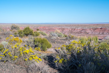 Fototapeta na wymiar The Rim Trail in Petrified Forest National Park, Arizona