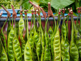 Closeup macro detail of multiple pods of Stink Beans (Parkia speciosa) sold at an open market. Chonburi, Thailand. Travel and authentic cuisine. - 371909203