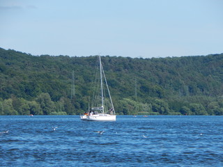 sailboat on the sea