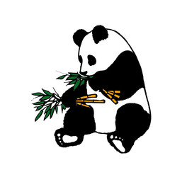 panda