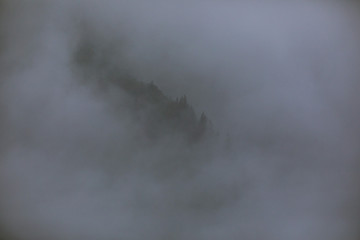 Peaking Through the Fog