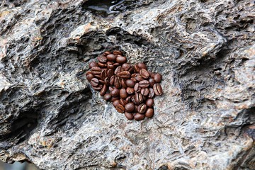 한국 인천시 인천대공원 입니다