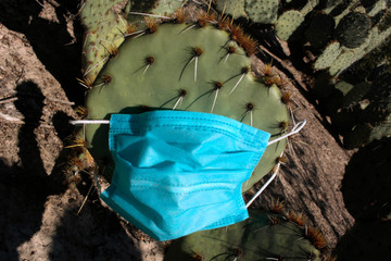Nopal con espinas y tapaboca