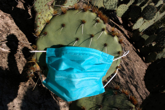 Nopal con espinas y tapaboca