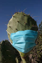 Nopal con tapabocas