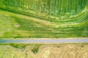 rural landscape with country road between green and yellow wheat fields. aerial view from flying drone