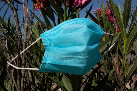 Flores y tapaboca
