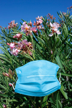 tapaboca y flores