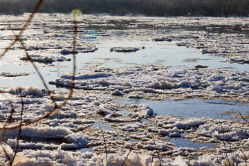 Ice drift on a river with blue high water and big water, white snow broken ice full of hummocks in it and tree branches in the foreground in sunny spring day.