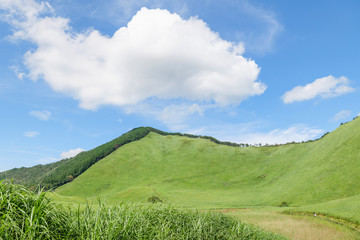 Scenery of Nara-Soni Highlands in midsummer