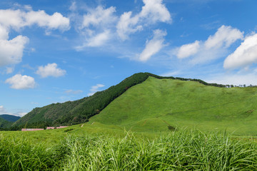 Fototapeta na wymiar Scenery of Nara-Soni Highlands in midsummer