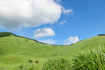 Scenery of Nara-Soni Highlands in midsummer