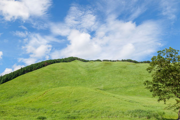 Fototapeta na wymiar Scenery of Nara-Soni Highlands in midsummer