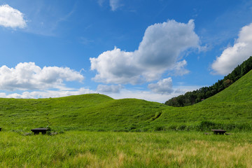 Scenery of Nara-Soni Highlands in midsummer