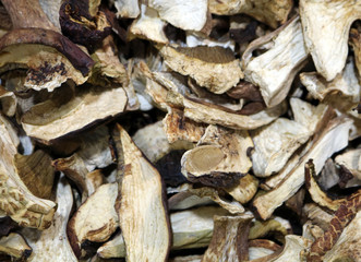 dried porcini mushroom or boletus with a brown hat