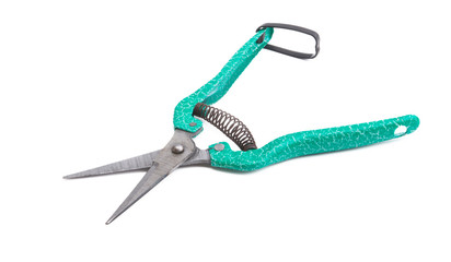 flower pruner isolated