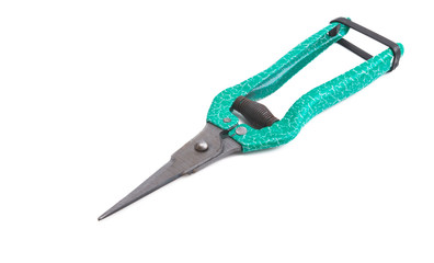 flower pruner isolated