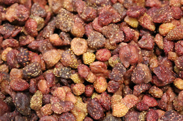 dried berries of wild strawberry, a perennial herb
