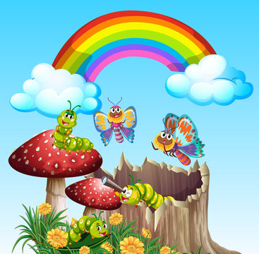 Butterflies and worms living in the garden scene at daytime with rainbow