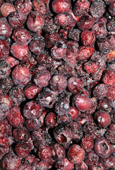 dried cranberries are very good for health
