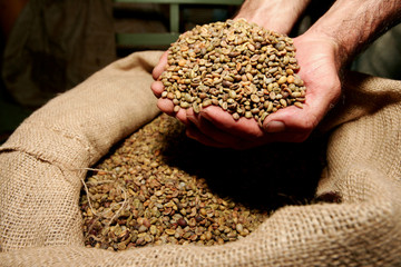 itabela, bahia / brazil - april 23, 2010: processing of coffee beans for export is seen in the city of Itabela.