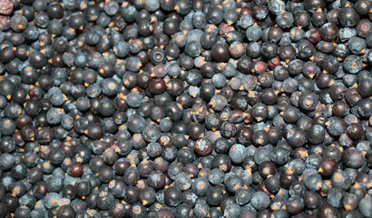 dried juniper berries have healing properties
