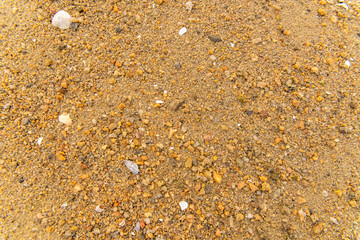 Sand on the beach in Brittany, with small shells, background
