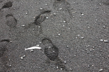 アイスランドのブラックサンドビーチ